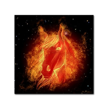 Mark Ashkenazi 'Horse On Fire' Canvas Art,18x18